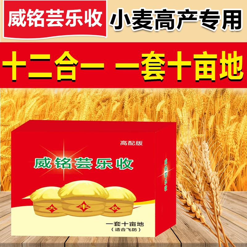 威铭芸乐收小麦100亩地瓶装高产叶面肥