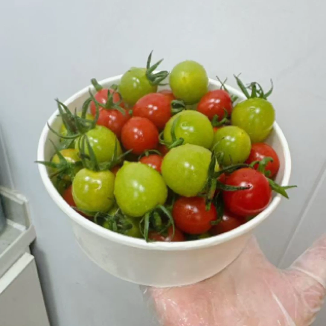 山东翡翠釜山玲珑双拼good