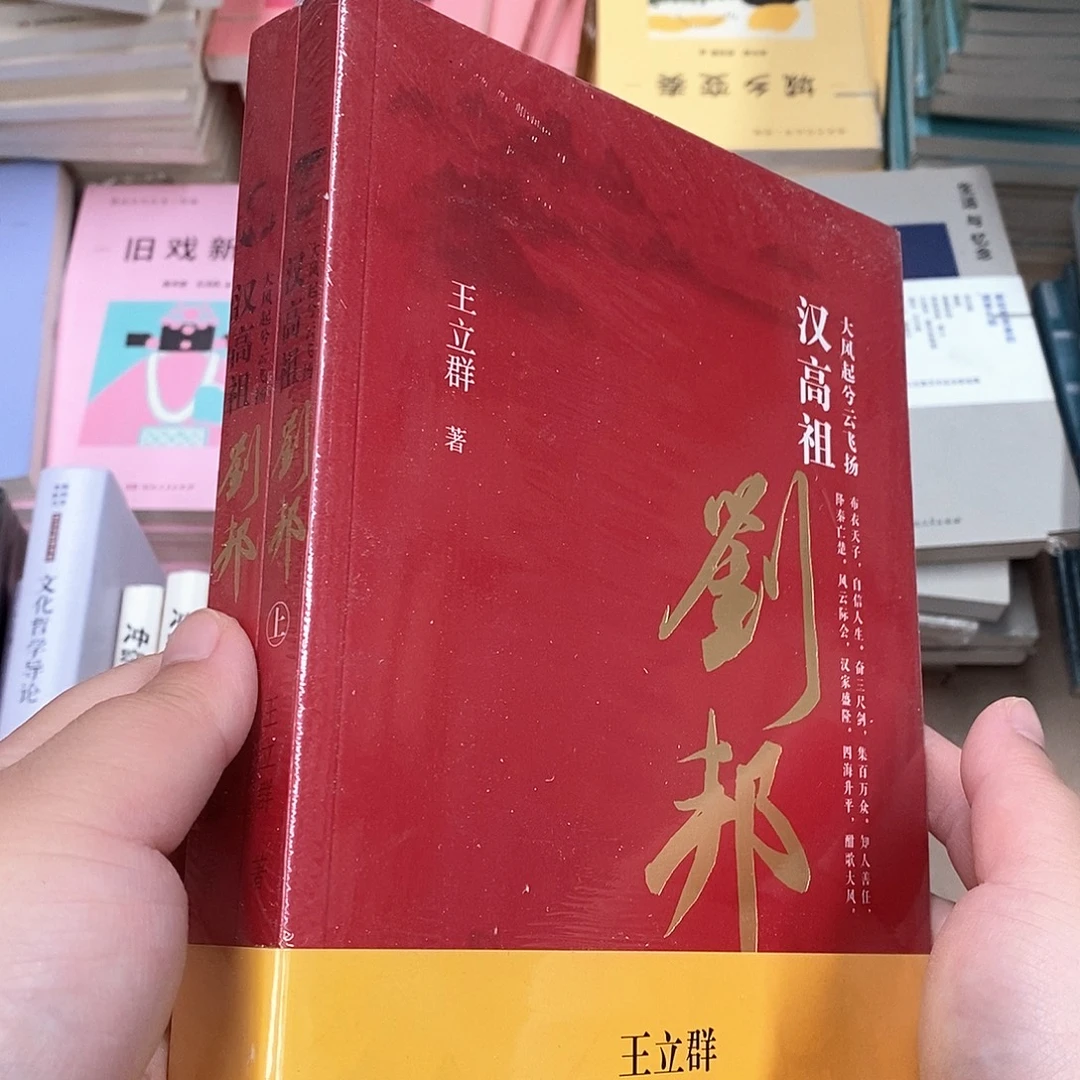 王立群  汉高祖刘邦  上下