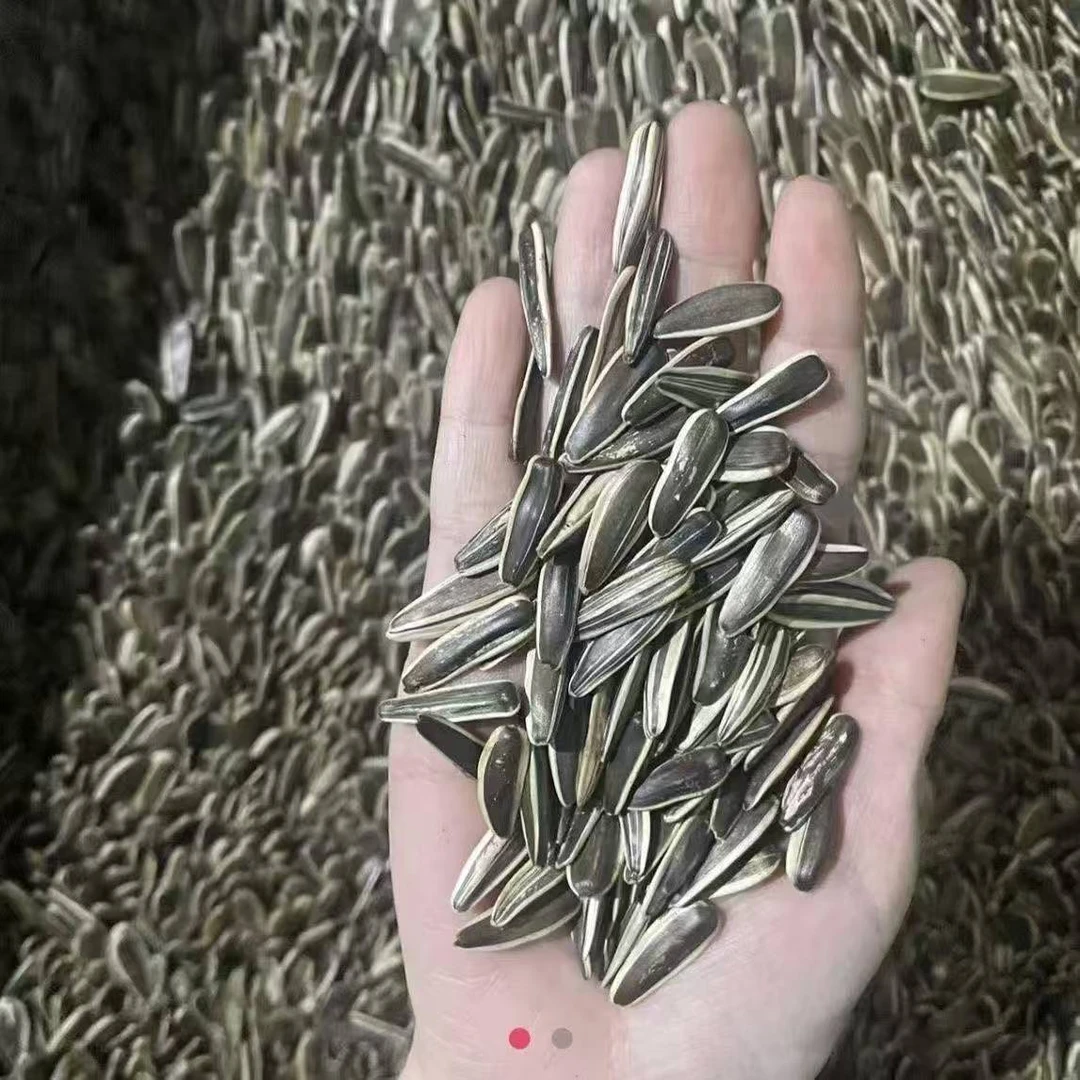 【爱心助农】原味中大颗粒葵花籽现炒两斤熟瓜子皮薄易嗑