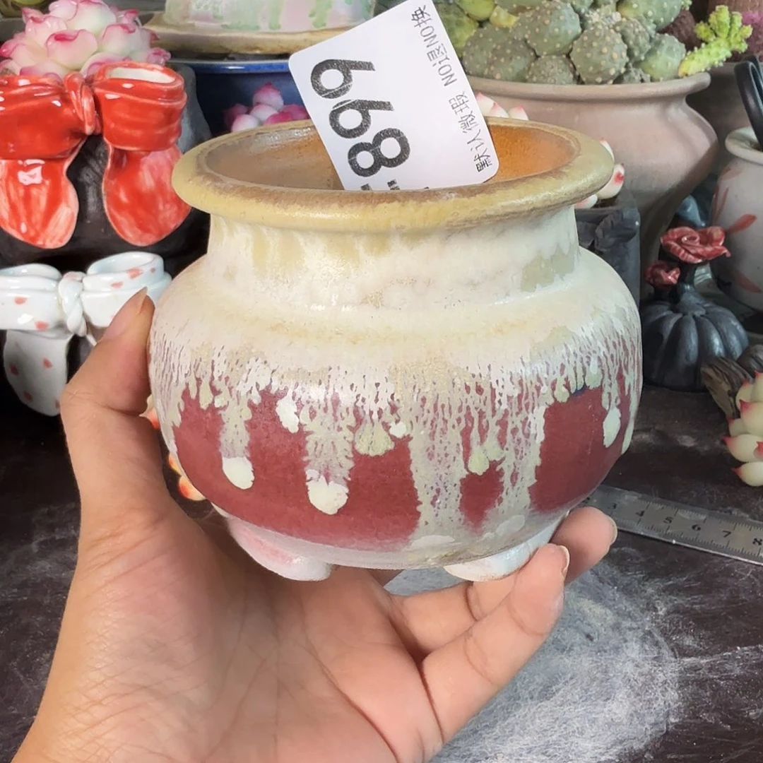 重庆小燕子欢迎大家899