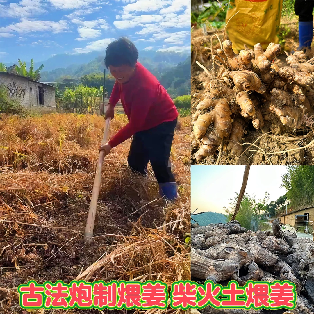[煨老姜]古法炮制煨姜禾杆柴火土煨姜 中药材煨姜 月子姜老姜煨姜