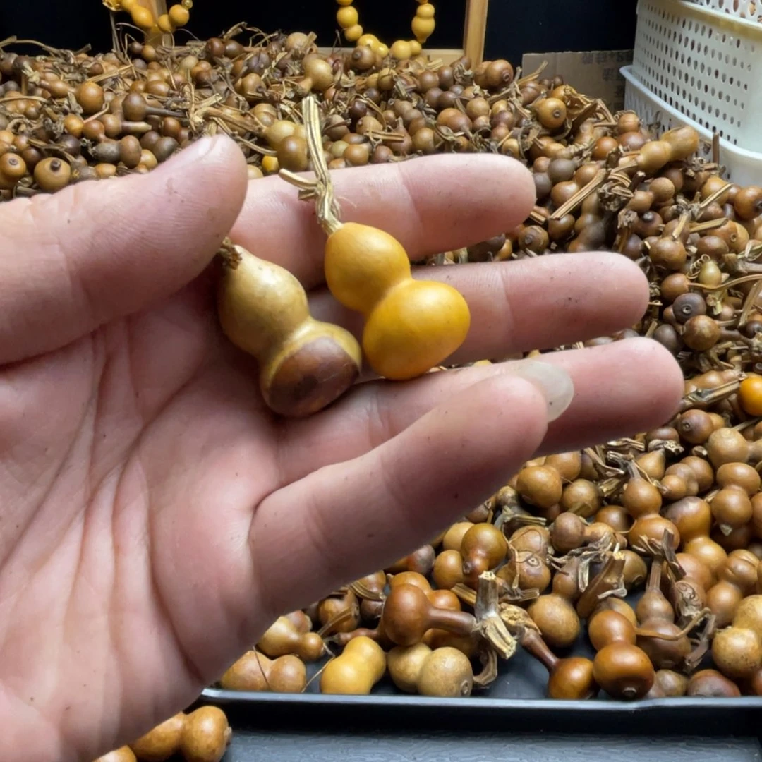 抽***海木，11111111111111