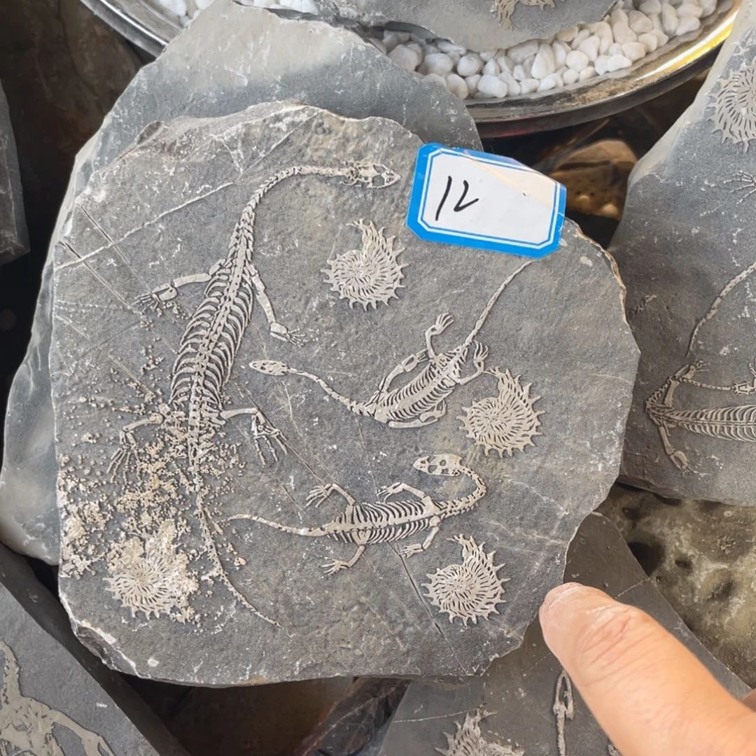 石材12222222222222222222222