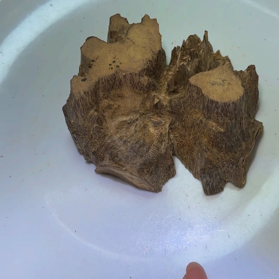 沉香沉香碎屑勤***范沉香海南包头吊齿料111克