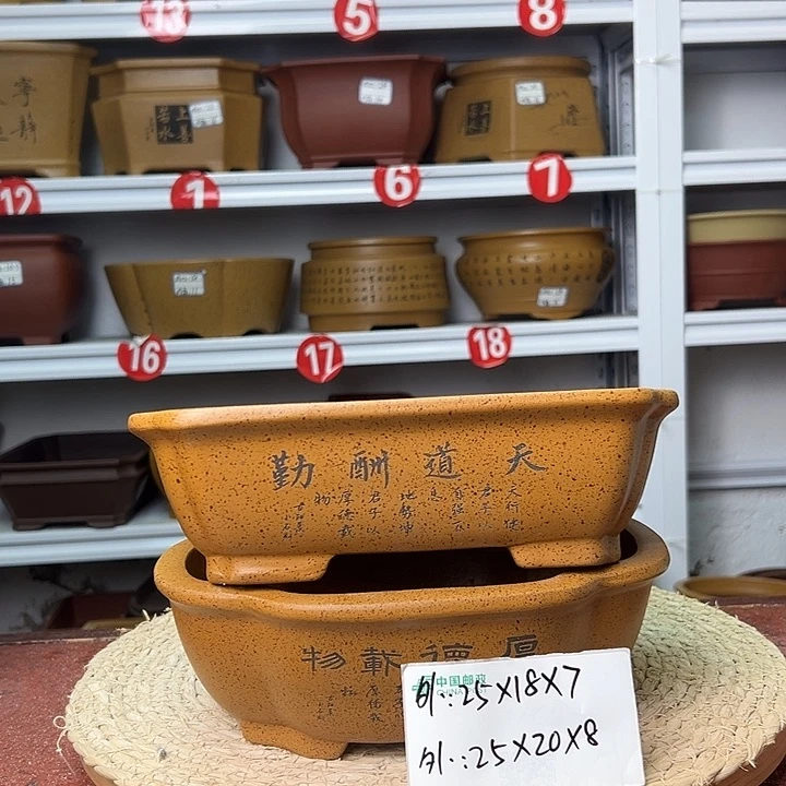 紫砂花盆蛇年大吉
