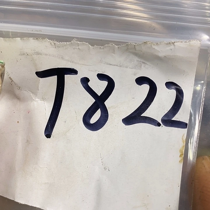 古***四民间喜乐购专项链接