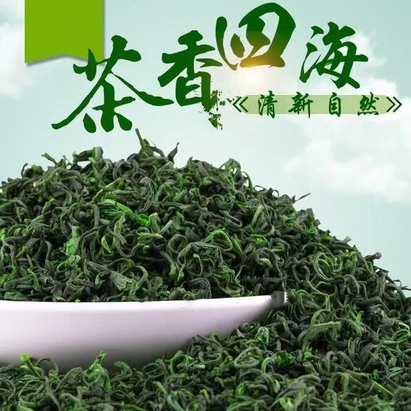 9·9【茶农直发】高山云雾绿茶新茶春茶浓香型明前茶炒青耐泡袋装