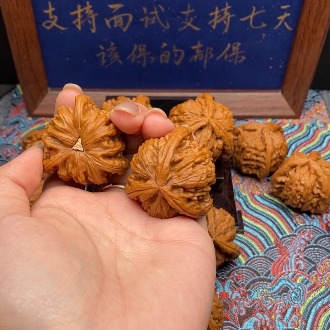 【闪购商品】无*白狮