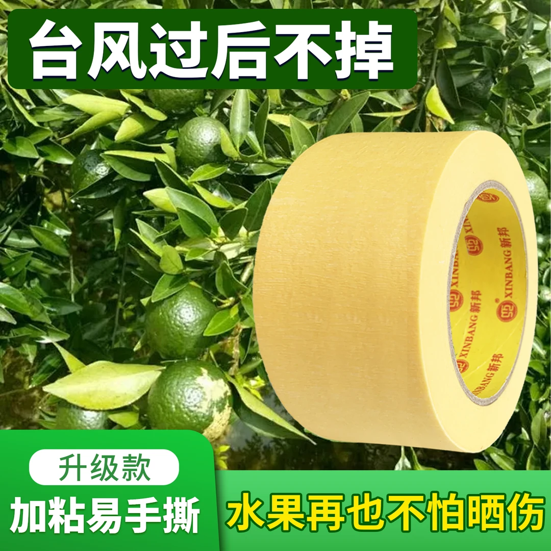 柑橘防晒贴脐橙水果晒伤修复防太阳果贴水果橘子粑粑柑沃柑防晒纸