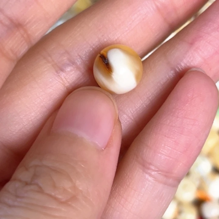 未镶嵌蜜蜡裸石9.9mm一个