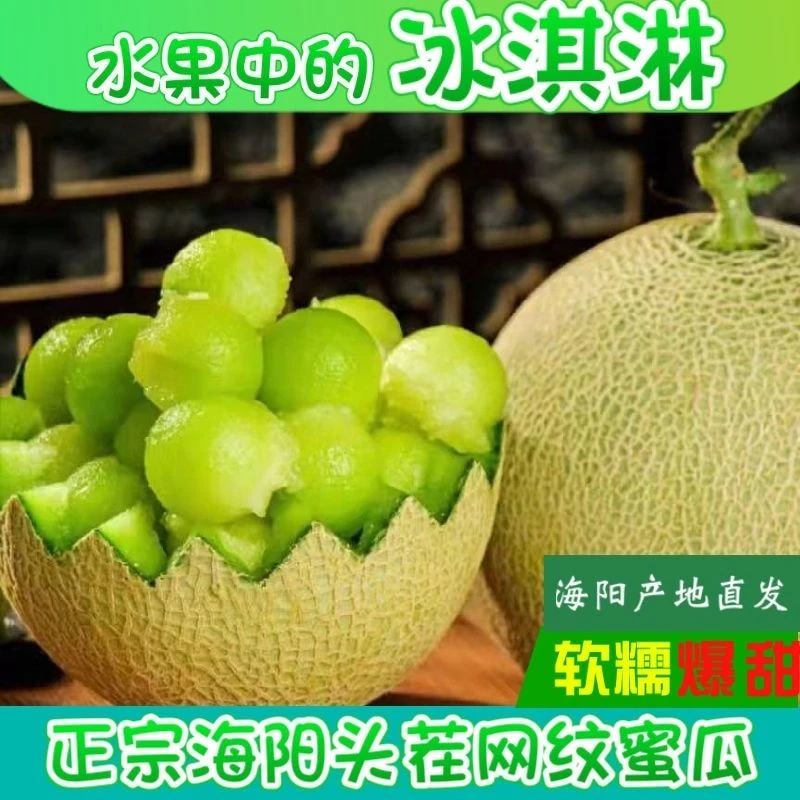 烟台海阳网纹蜜瓜甜香多汁当季新鲜水果冰淇淋哈密瓜整箱