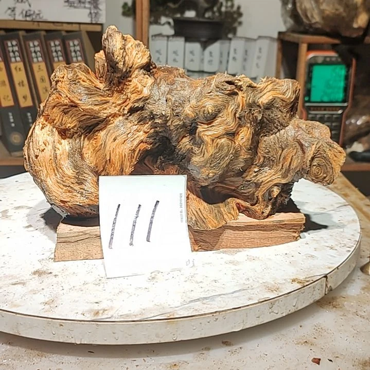 松木搞****v111号北沉香琥珀木天然造型