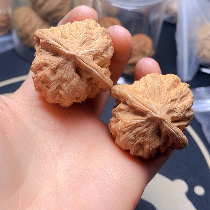 文玩核桃吊坠野生龙脊一对