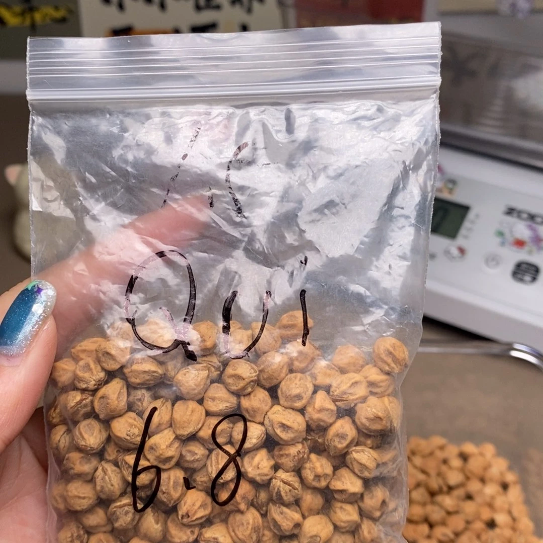 Q***i柏香籽/百香籽吊坠