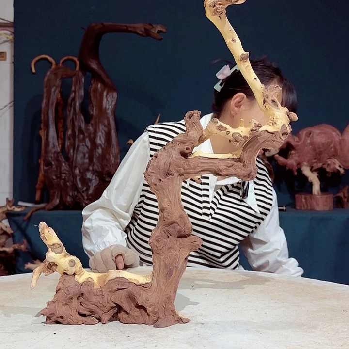 黑果木放**跳277金丝红木羊蹄甲半成品