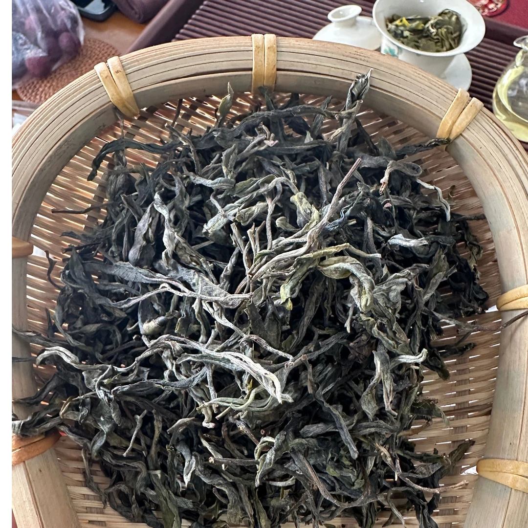 邦东古树茶2023年春