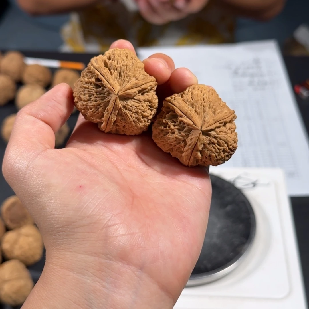 文玩核桃把件89号大粗筋三棱