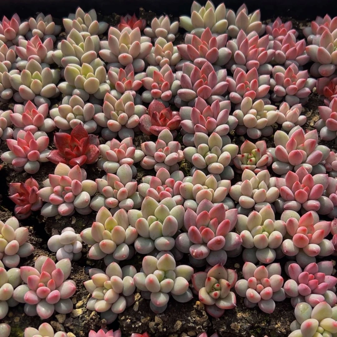 沅***745点点滴滴现在想想