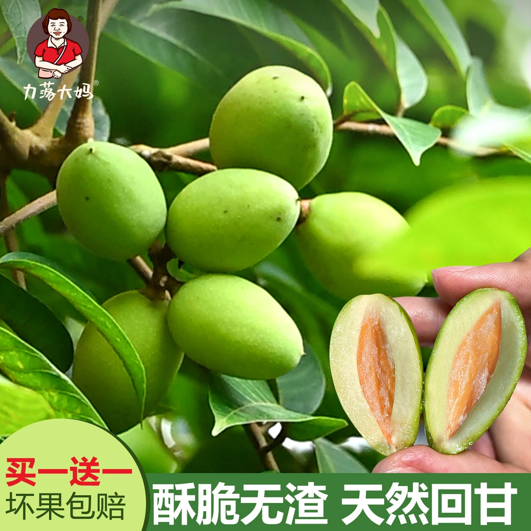 潮汕大妈正宗青枣橄榄新鲜现摘酥脆回甘生吃橄榄两斤