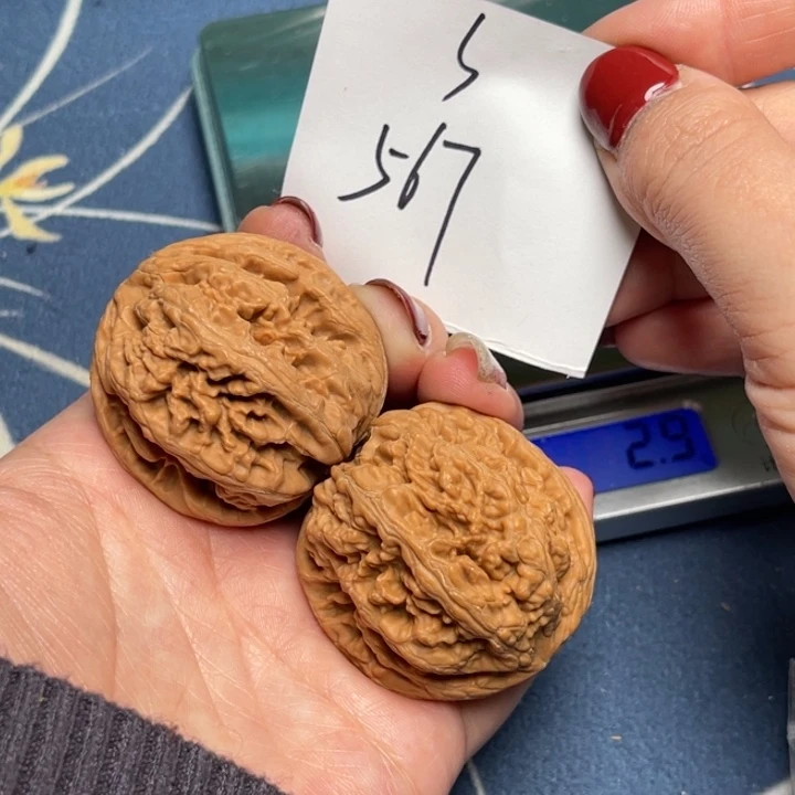 文玩核桃把件粗筋39