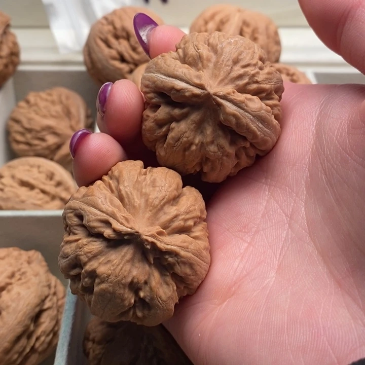 清***茶文玩核桃手串霸王龙全