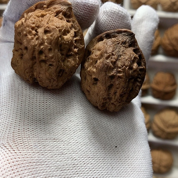 核桃40尺鹰嘴异形9号