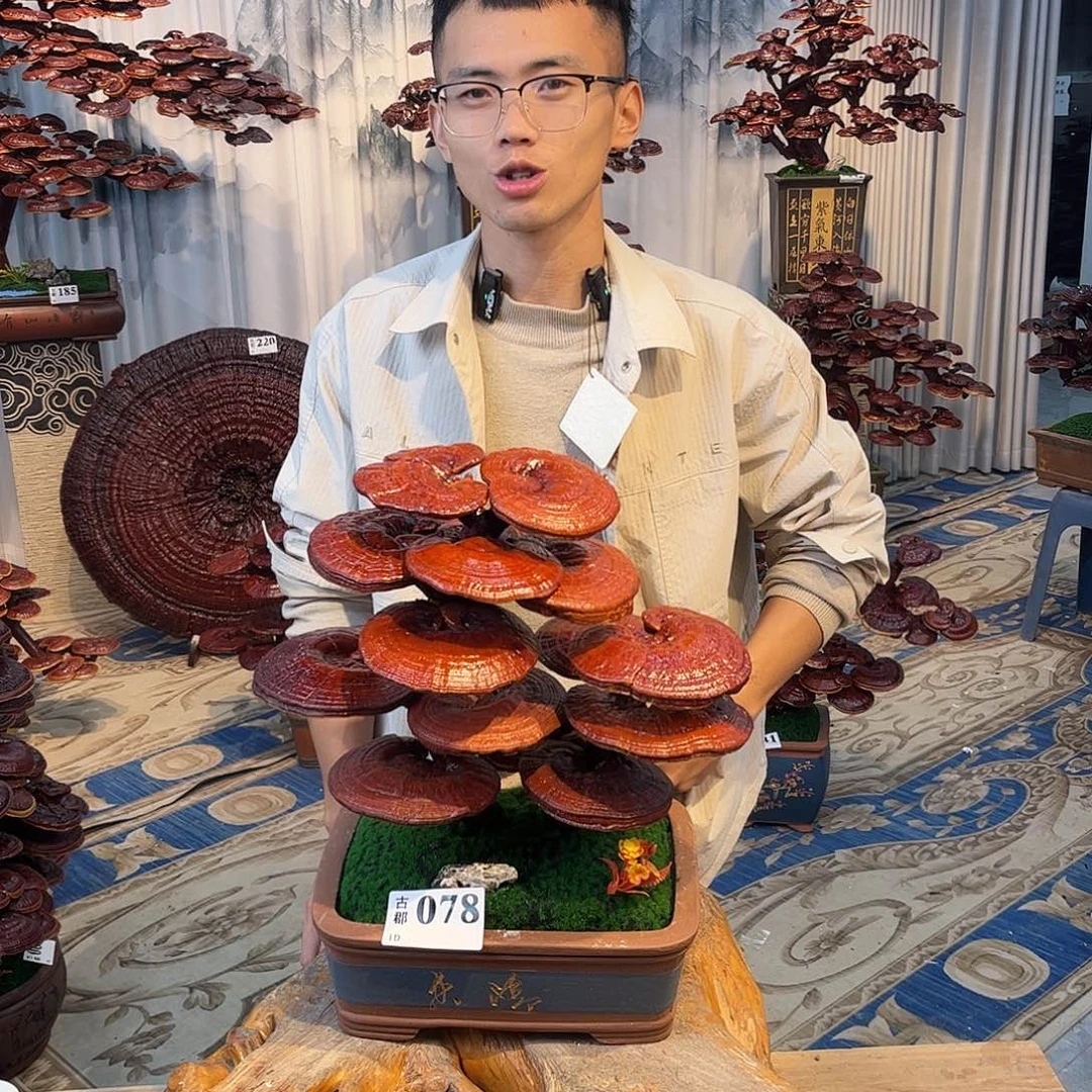 无花朵588888888888