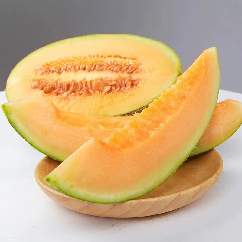 久泰农业 海南头茬沙地西州蜜瓜 一藤一瓜Y