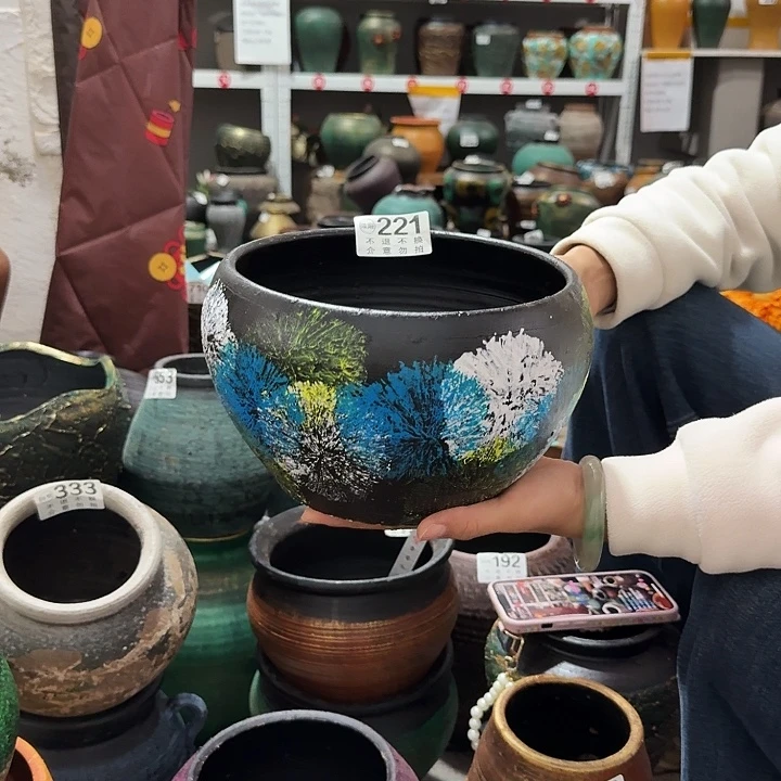 彩绘221高度14口径20