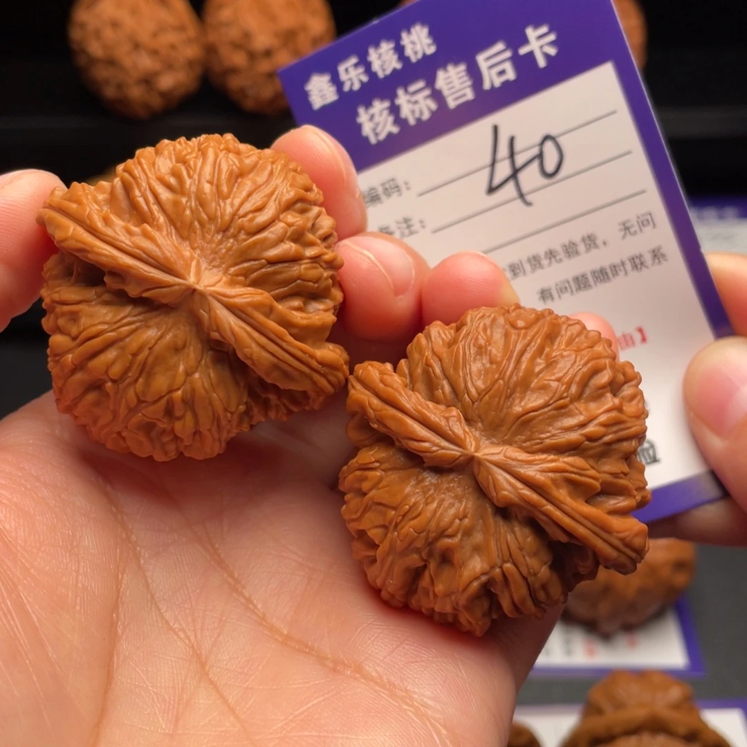 文玩核桃把件白狮子43尺