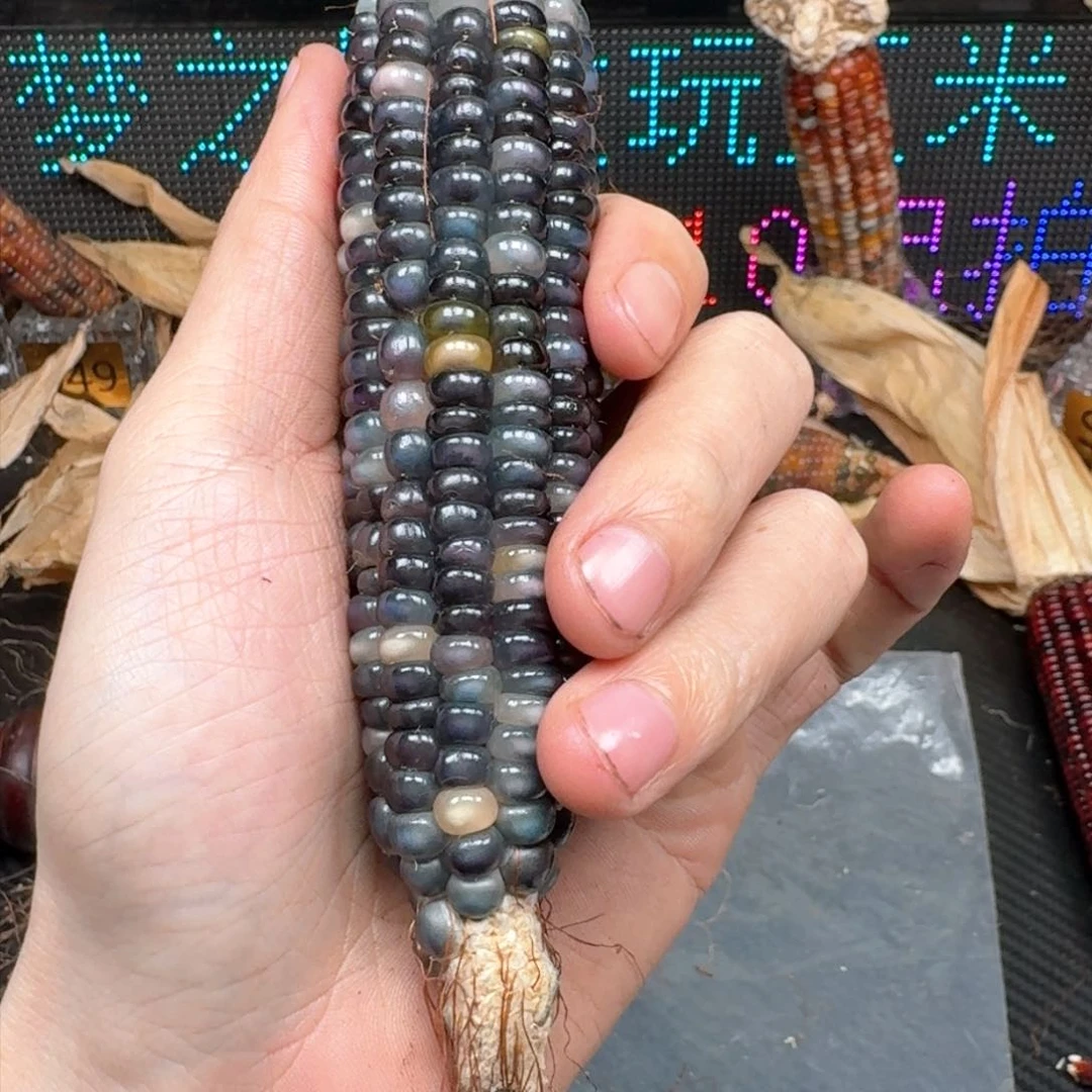 柏香籽/百香籽吊坠’