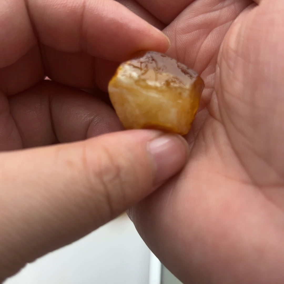 定制琥珀未镶嵌猫*