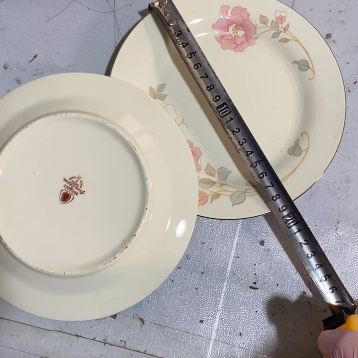 瓷片春蕾象牙瓷盘子一对