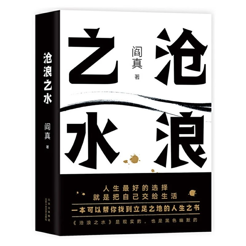 沧浪之水如何是好阎真著经典官场小说职场小白考公人启蒙书籍