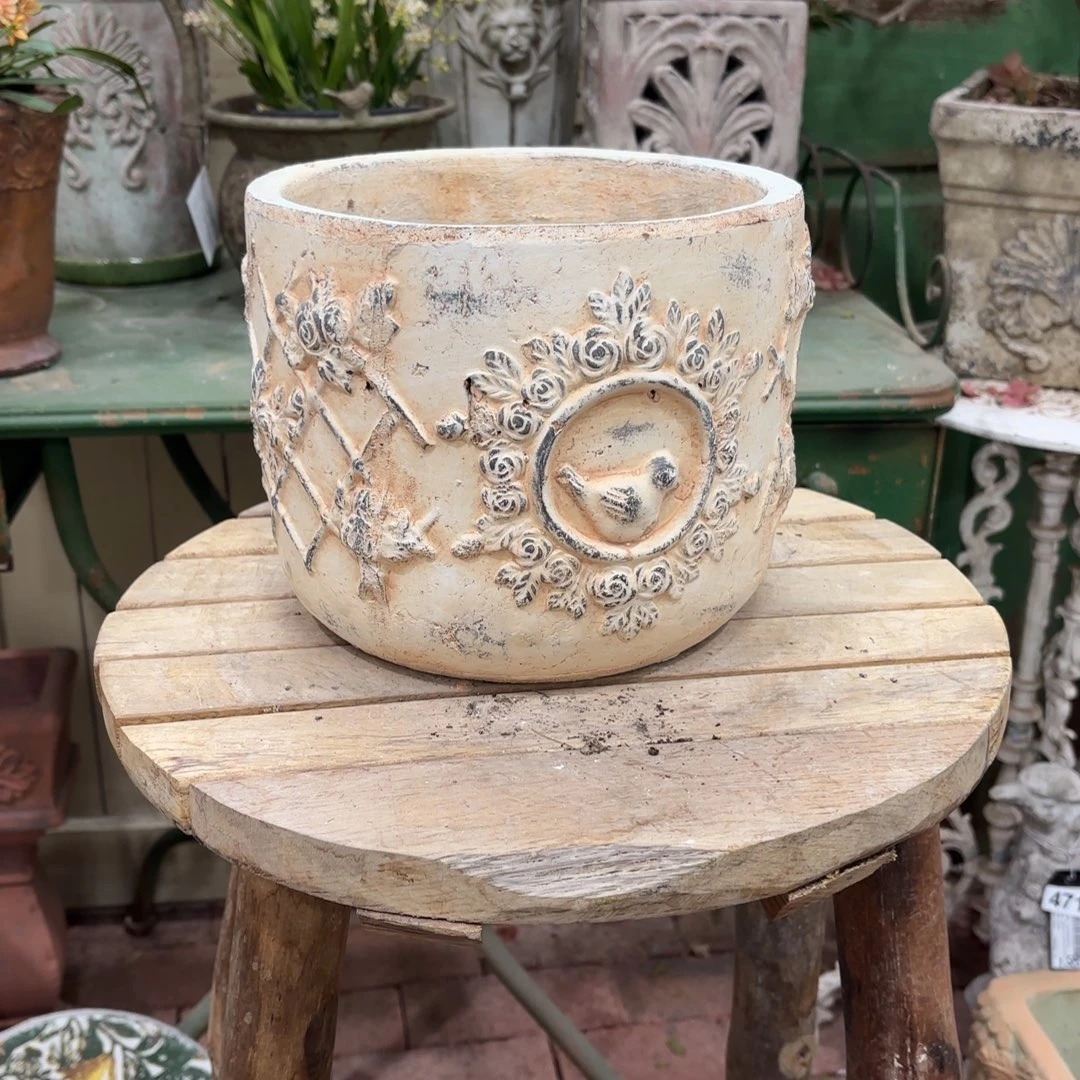 许纯的花房 鸟哦 福利