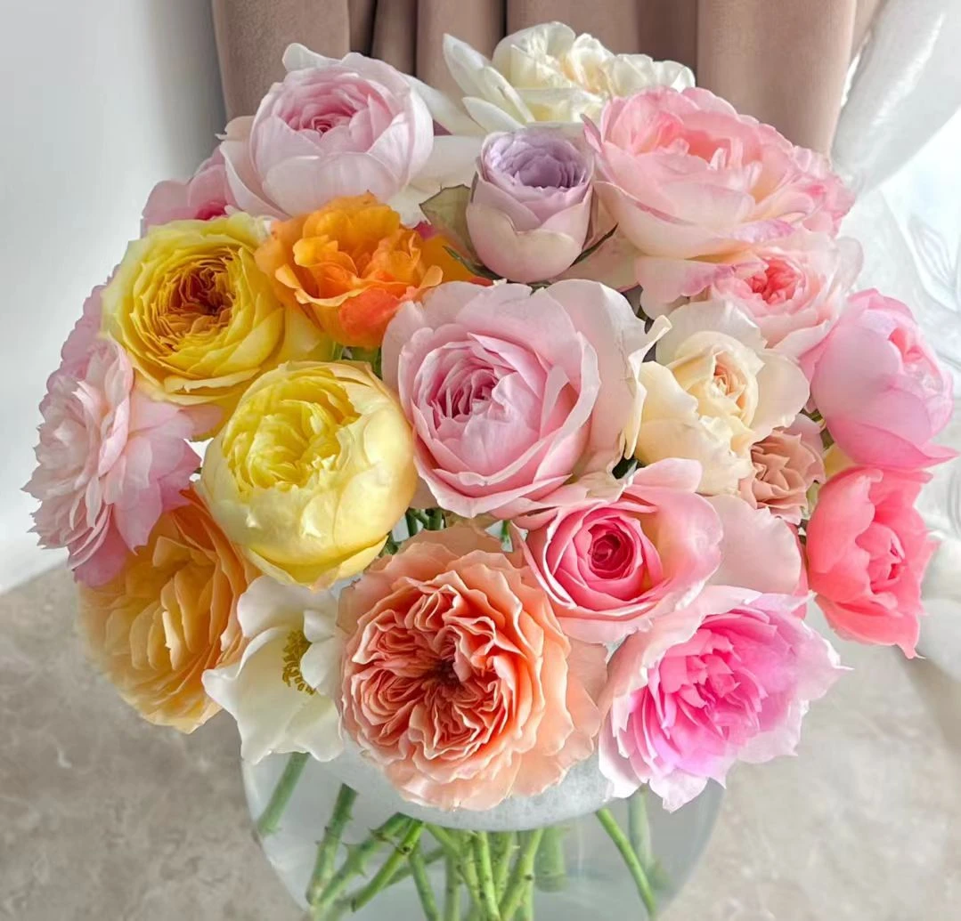 彩拼玫瑰10支+多头玫瑰5支+风铃+翠珠+紫罗兰5支