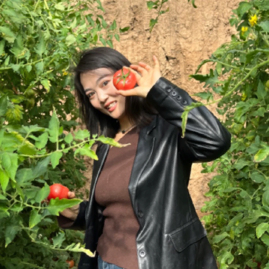 【顺丰/京东】正宗陕西泾阳普罗旺斯沙瓤生吃水果番茄产地直发小果