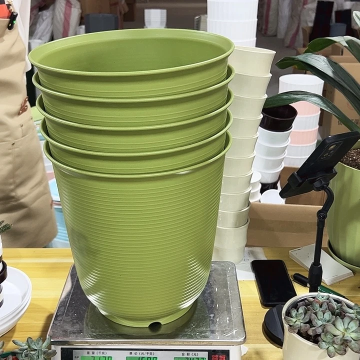 高陶口30高30果绿无托5个