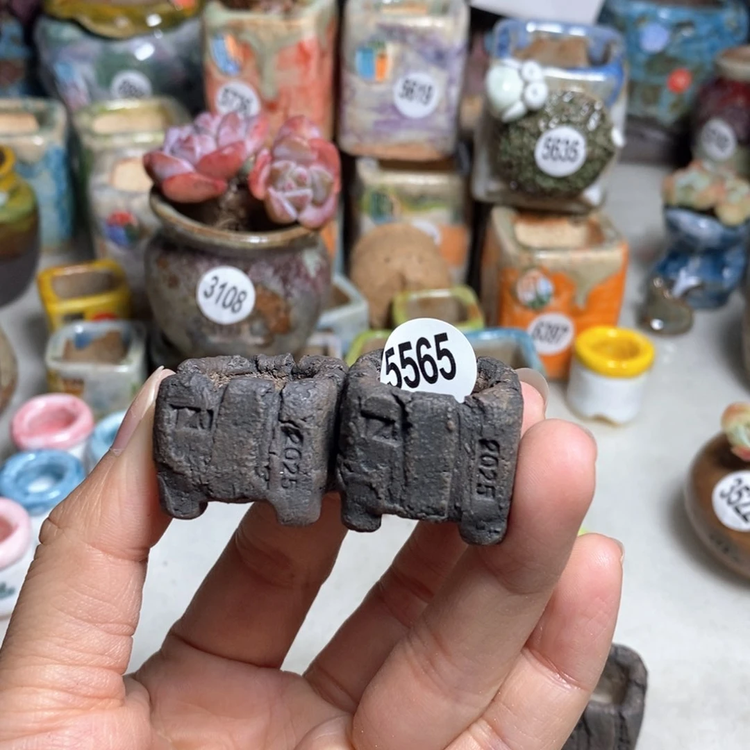 若****?拍5送一个小礼物