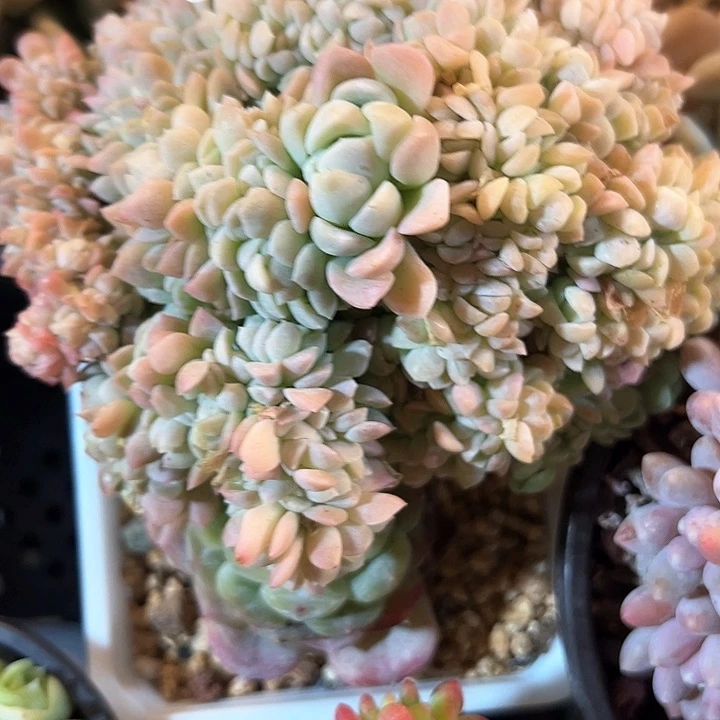 生***心幸运的是我的朋友