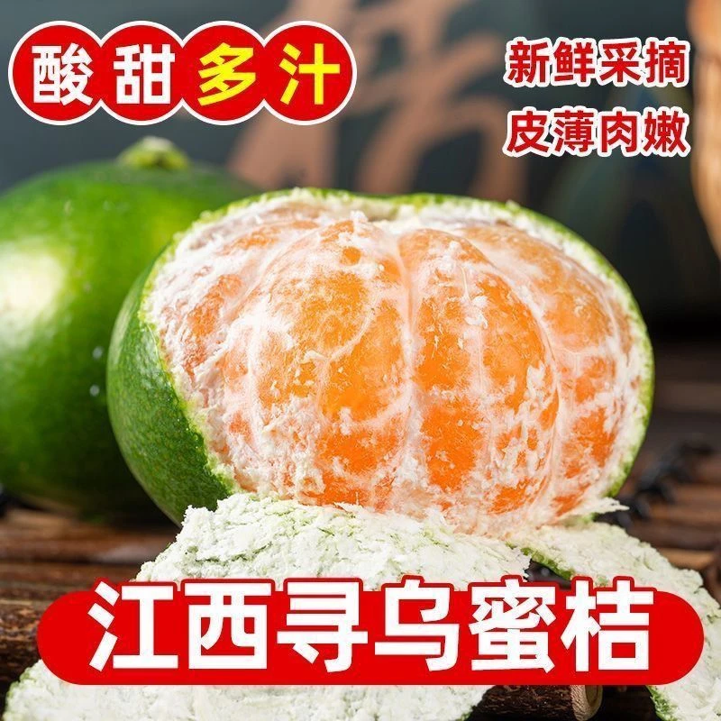 寻乌蜜桔果园新鲜采摘酸甜皮薄多汁橘子生鲜无核桔子江西赣南蜜桔