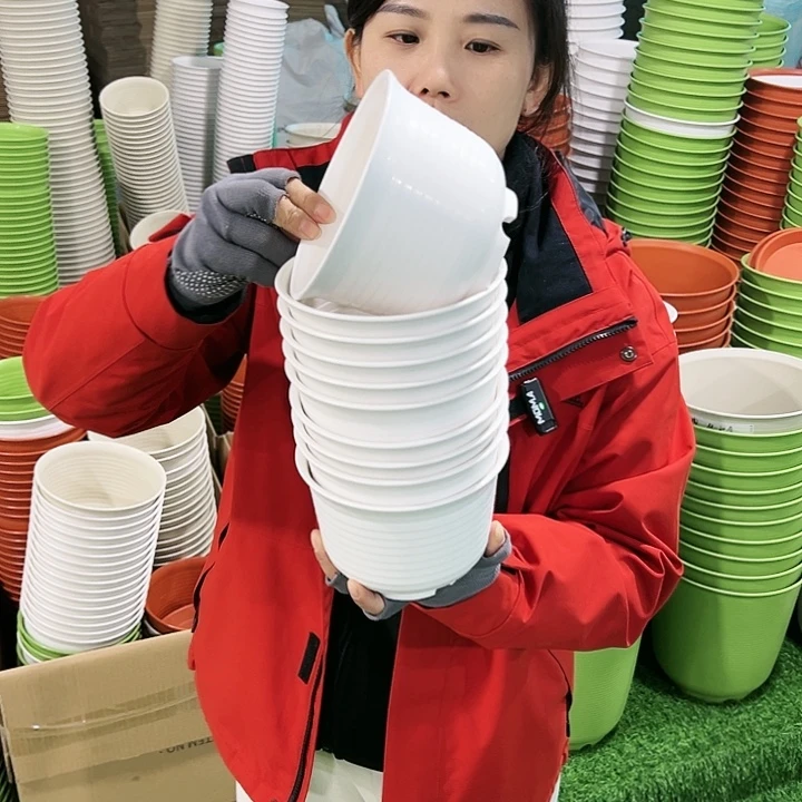 正品矮陶口15高11白色无托10只