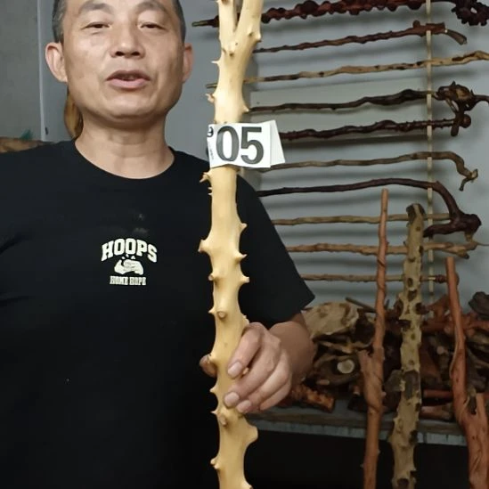 老***夫香榧木高山 檬子木文玩料