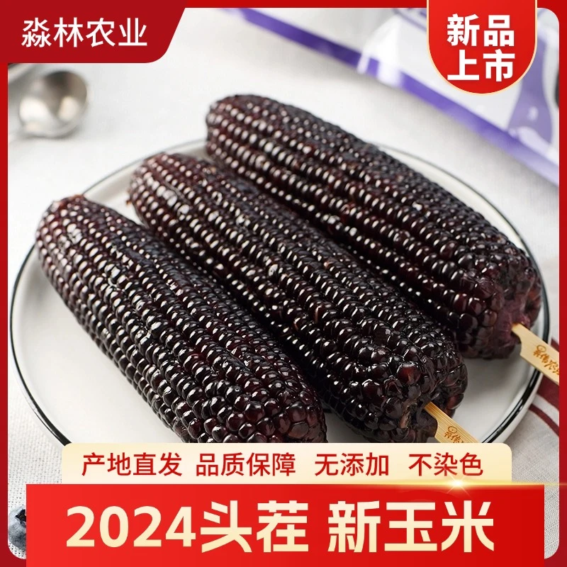 24年头茬黑龙江万年黑土地紫糯玉米220-250g*10支黑糯玉米