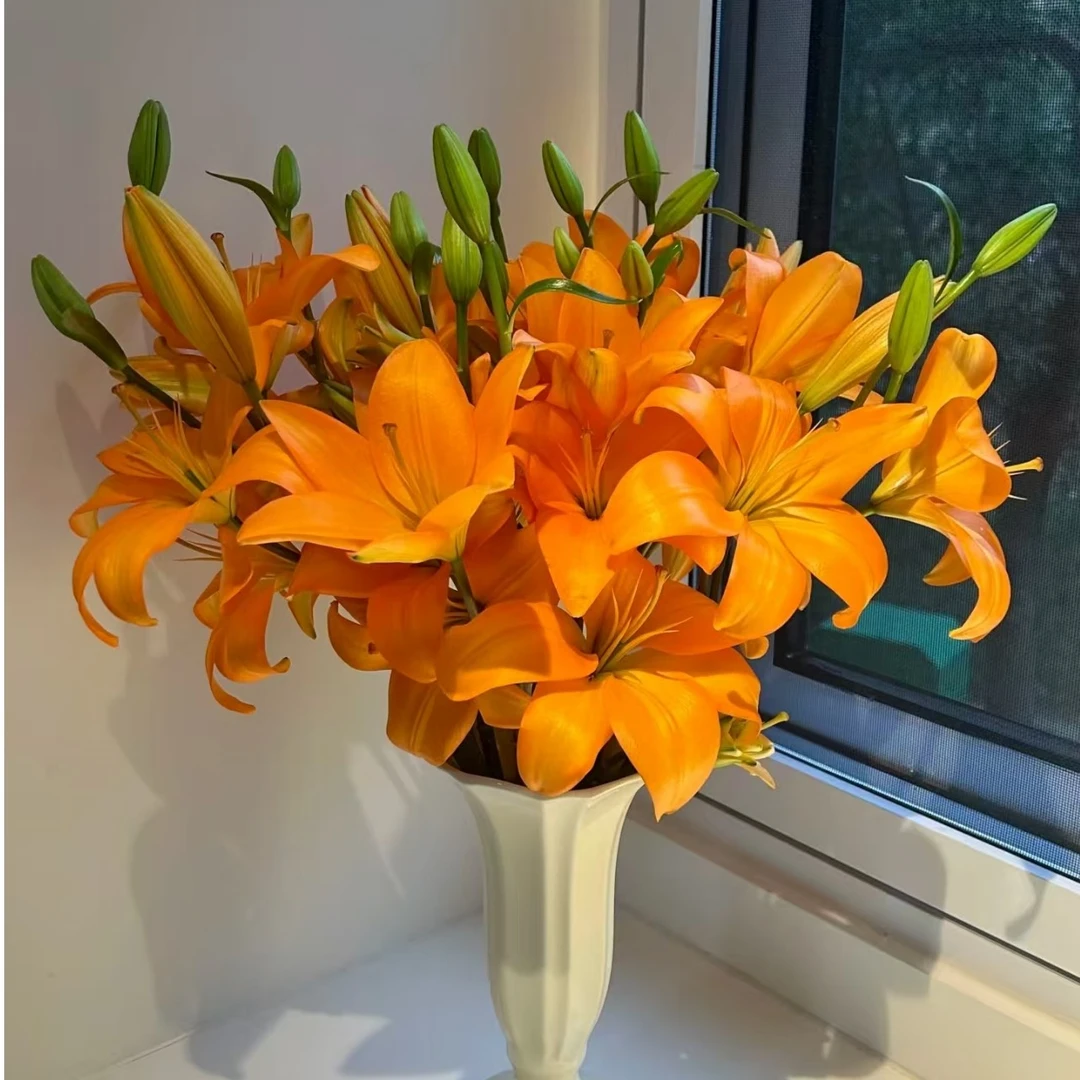 3枝橙色梦想多头亚百合云南鲜花居家插花昆明直发【2单顺丰或京东