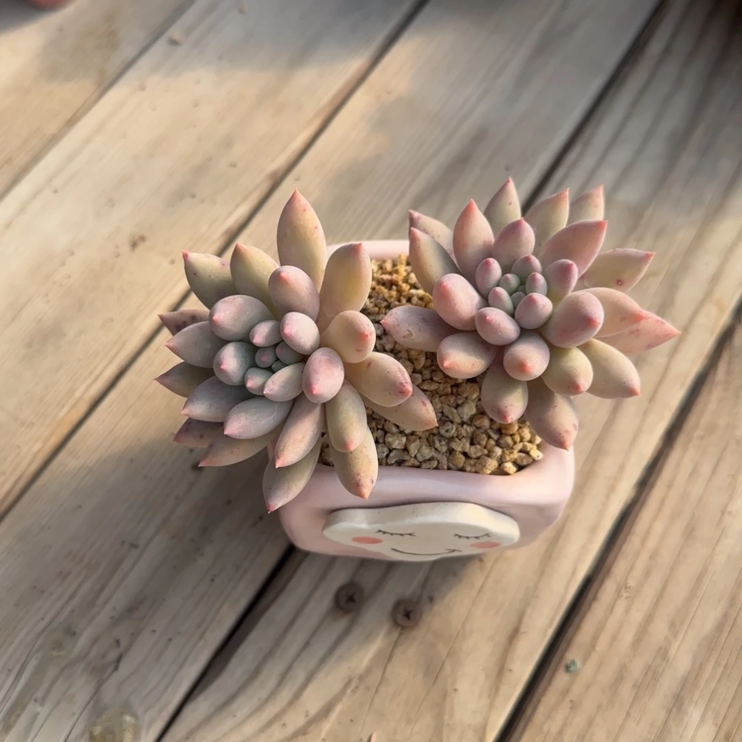 北遇福利68包邮自行凑单