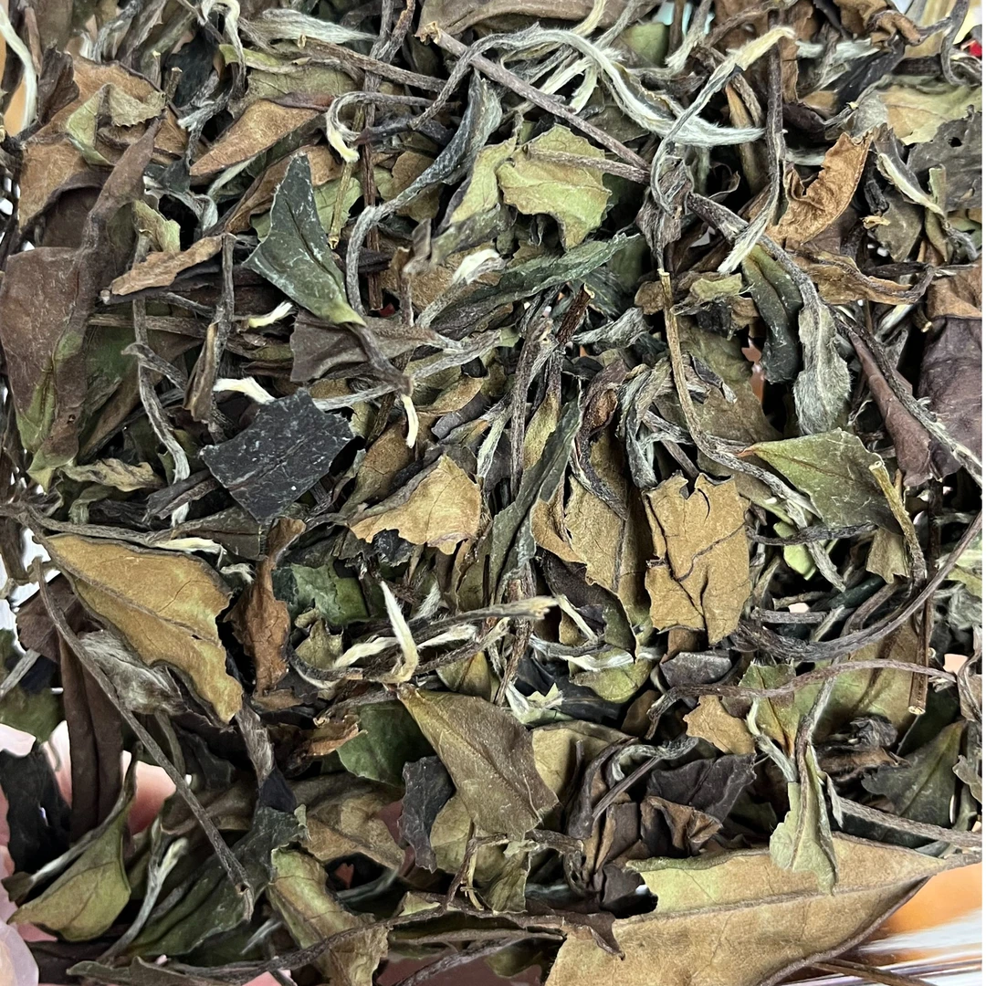 云说叶【种草福利】不知春·2022年寿眉散茶30g丨福鼎白茶丨钟宛舒制