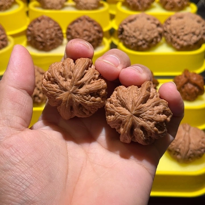 B***r桃核吊坠粗筋全品