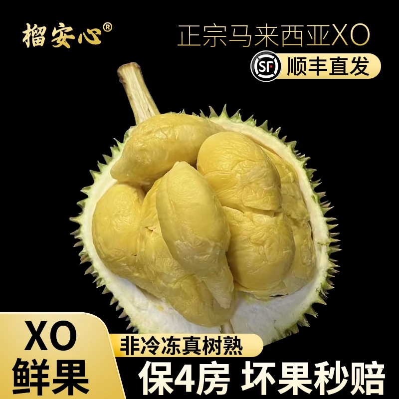 马来西亚D24系列XO鲜果树熟进口整果顺丰包邮